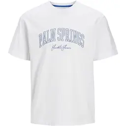 JACK & JONES Jjdetroit Tee SS Crew Neck