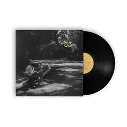 33 Vinyl LP