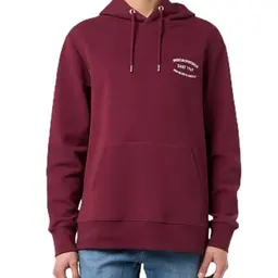 GANT SMALL Graphic Hoodie