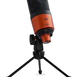 ESI cosMik 10 Studio-Kondensatormikrofon