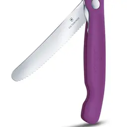 Victorinox Swiss Classic Faltbares Picknick-Messer, Extra Scharf, Für Obst, Gemüse, Brötchen und Wurst, Violet