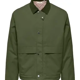 Only & Sons Herren Steppjacke, Olive Night