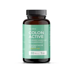 VILOWAY Colon Activ 30 – Probiotika und Ballaststoffe für gesunde Verdauung, 30 Kapseln