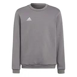 adidas Kinder Entrada 22 Sweat Top, Team Grey, 5-6 Jahre