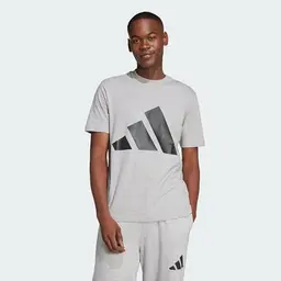 Adidas Herren Essentials Big Logo T-Shirt, Größe L, Grau/Schwarz