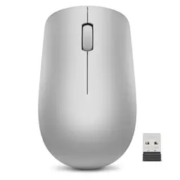 Lenovo 530 Kabellose Funkmaus für Chromebook, grau