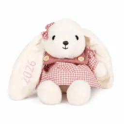 Jeweidea personalisiertes Hasen-Kuscheltier mit Namen für Neugeborene Baby, Schnuffeltuch, Schmusetuch, Geschenk für Jungen & Mädchen, Stil 2
