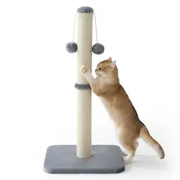 Lesure Kratzsäule für Katzen – Mittelgroß, 36×36×74 cm