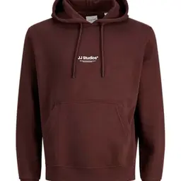 JACK & JONES Jjesoho Sweat Hood Noos