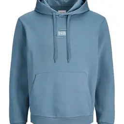 JACK & JONES Graphic Sweat Hoodie