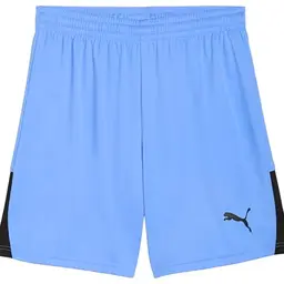Puma TeamLIGA26 Shorts