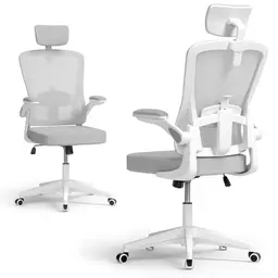 BLINNGO Ergonomischer Bürostuhl mit Verstellbarer Lendenstütze und Kopfstütze, Atmungsaktiver Netzstuhl (Grau)