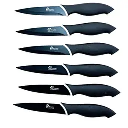 Pradel Excellence CC006N 6er Set Steakmesser aus Edelstahl in Anisfarben