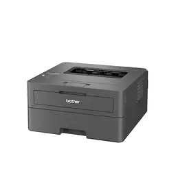 Brother HL-L2400DW Laserdrucker mit EcoPro - Automatischer Duplexdruck und LC-Display