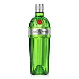 Tanqueray No. 10 Gin - Premium Geschenk für Gin & Tonic - 700ml