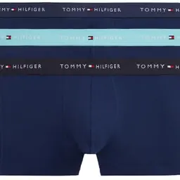 Trunk