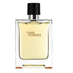 Hermès D'Hermès Eau de Toilette 50 ml - Holzig und würzig