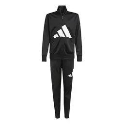 adidas Unisex Kinder Essentials Big Logo Trackset, Schwarz/Weiß, 15-16 Jahre