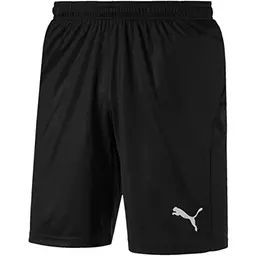 PUMA Herren Liga Shorts Core, Puma Black/White, Größe M