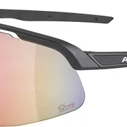 ALPINA Turbo Pro - Sport-Performance Brille, black-metallic matt