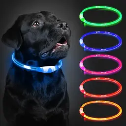LED Leuchthalsband für Hunde, Aufladbar, Wasserdicht, 3 Lichtmodi, Blau, 70 cm
