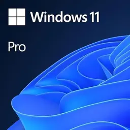 Windows 11 Pro für 1 Gerät - Download-Version