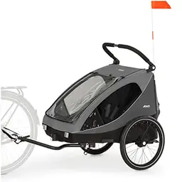 Hauck Dryk Duo Fahrradanhänger & Kinderwagen, grau, für 2 Kinder bis 4 Jahre, faltbar, mit XL Stauraum, für Fahrrad & E-Bike