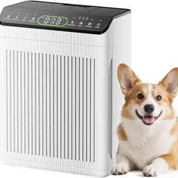 EVALIT Luftreiniger Allergiker, 200m², Rauch, Staub & Pollen, PM2.5-Anzeige, 3 Modi, Weiß, 1 Stück