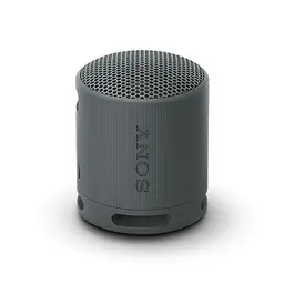 Sony SRS-XB100 Kabelloser Bluetooth-Lautsprecher, tragbar, wasserdicht, 16 Std Akku, schwarz