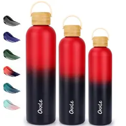 Edelstahl Trinkflasche 750ml mit Griff, auslaufsicher, BPA-frei, für kohlensäurehaltige Getränke, isoliert