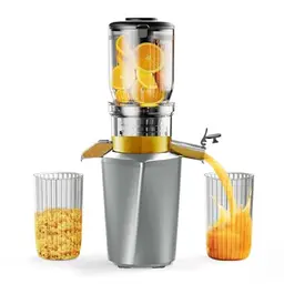 Fyenkfar Entsafter für Obst und Gemüse - Slow Juicer für gesunde Ernährung und Vitamine