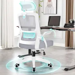 ALFORDSON Ergonomischer Büro-Schreibtischstuhl mit Lendenstütze, neigbar, hochklappbare Armlehnen, Weiß/Grau