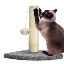 Pfotenolymp Interaktiver Katzenkratzbaum mit Spielzeugball - Kratzbaum für Hauskatzen