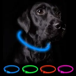 Nepfaivy Leuchthalsband für Hunde, USB-aufladbar, wasserdicht, mit 3 Lichtmodi, verstellbar für mittelgroße und große Hunde