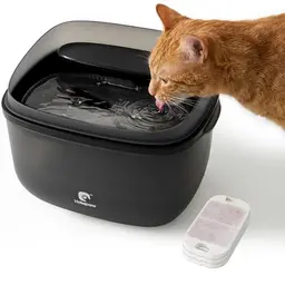 HOLAPAW Trinkbrunnen für Katzen, 3,78L, leise, mit Filter, Anti-Spill, einfacher Reinigung, Schwarz