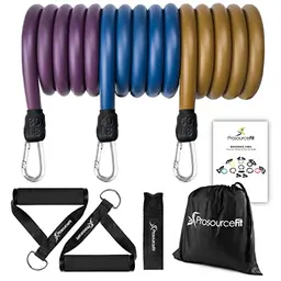 ProsourceFit Heavy Duty Resistance Bands Set 20-50 LB with Door Anchor and Exercise Chart