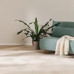 benuta Basic Furry Teppich - Beige 140x200 cm - Weich und Waschbar - Für Fußbodenheizung geeignet