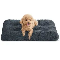 Feandrea Hundebett, Flauschiges Hundekissen, 80 x 50 cm, dunkelgrau