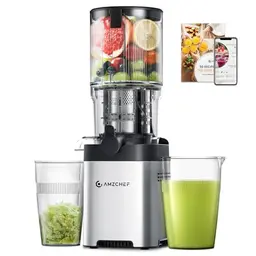 AMZCHEF Entsafter - Slow Juicer für ganze Obst und Gemüse, leicht zu reinigen - Silber