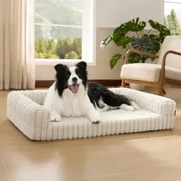 BEDSURE Orthopädisches Hundebett für große Hunde - Wasserdichtes Sofa mit Memory-Schaum, abnehmbarem Bezug, Creme
