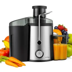 LEHMANN Entsafter, elektrische Saftpresse aus Edelstahl, 1,5L Tresterbehälter, für Obst und Gemüse