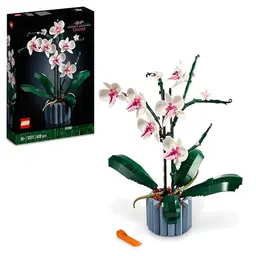 LEGO Botanicals Orchidee - Künstliche Pflanzen Set - Modellbausatz für Erwachsene - Deko für Zuhause - Geschenke für Frauen und Männer