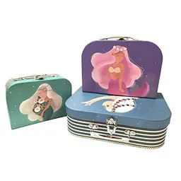 DynaSun 3X Beauty Case Aufbewahrungskoffer Organizer