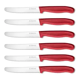 targzier Tomatenmesser 6 Stück - Hochwertige Brotzeitmesser mit Kunststoffgriff, rostfreier Stahl, extra scharf, spülmaschinenfest