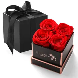 WYRIAZA Ewige Rose - Geschenkidee für Frauen, Mama, Freundin zu Weihnachten, Muttertag, Valentinstag, Geburtstag und Jahrestag