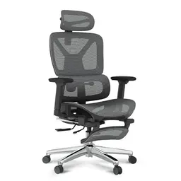 FLEXISPOT Ergonomischer Bürostuhl mit Fußstütze und 3D-Armlehnen, Belastbar bis 136 kg, Dunkelgrau