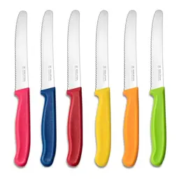 Targzier Frühstücksmesser Set, 6 Stück, Bunte Kunststoffgriffe, Spülmaschinenfest, Scharfe Brötchen- und Tafelmesser