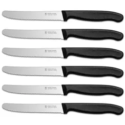 Targzier Frühstücksmesser 6er Set, Hochwertige Edelstahlmesser mit Kunststoffgriff, Spülmaschinenfest