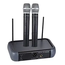 Duales Wireless Mikrofon Set mit Echo-Funktion für Karaoke und Events