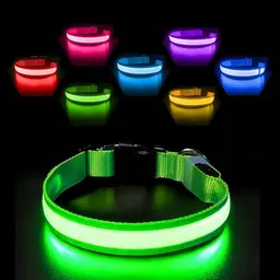 Aufladbares Leuchthalsband für Hunde, Wasserdichtes LED Halsband in 7 Farben, Einstellbar für kleine und große Hunde, Grün-M
